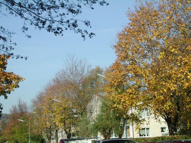 Der Herbst neigt sich optisch dem Ende