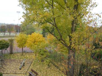 Herbst 2008 von meinem Balkon aus