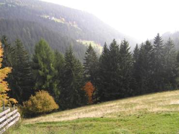 Herbst in S&uuml;dtirol