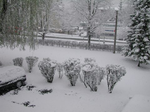 Schneechaos im M&auml;rz 2001 in Innsbruck