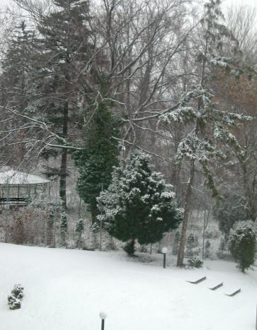 Schnee in Innsbruck
