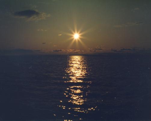 Foto vom Neusiedler See