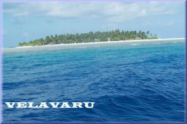 Velavaru