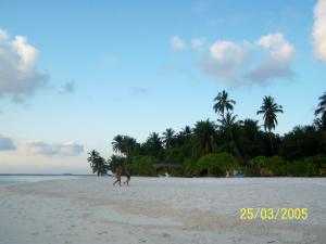 Insel vom Meer aus