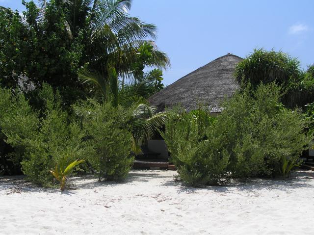 Blick vom Strand auf unseren Bungalow